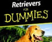 Golden Retrievers For Dummies ebook visit here http://bitly.com/1Sabk8o nAuthors Nona Kilgore Bauer nnFor the past decade, the Golden Retriever has ranked among the five most popular breeds registered with the AKC, with more than 65,000 Goldens registered every year. The Golden Retriever’s personality is as golden as his outer coat. He was bred to please, and please he does. He started out as a hunting partner who delivered birds to hand and has evolved into modern times delivering whatever su