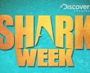 You may not be familiar with some of these shows, but the spots are a lot of fun.(3:32)n“Tyler Perry’s House of Payne” – TBSn“Dr Pol” – NatGeo Wildn“Mythbusters” – Discovery n“Ten Items or Less” – TBSn“Shark Week” – Discovery