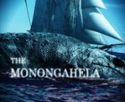 Concept Trailer for a film adaptation of the whaler Monongahela&#39;s fateful and controversial encounter in the waters off Antarctica. Seen as what we know of the incident comes from the report sent ahead by a ship the Monongahela met with, we still don&#39;t know what happened to the whaler (following the incident) that lead to its evident demise. Therefore, artistic license can be applied to the rest of the story.nnAs a concept trailer, its main job is to present an idea of the story in the intended