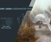 Primeiras probas de vídeo ca Sony a6300 nunha caixa estanca Ikelite. Gravado en Louro (Galicia). Luz natural e unha visibiliade moi mala da auga (entre 2 e 3 m)
