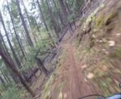 Mountain biking the North Umpqua Trail in Oregon. This is a small part of the Deer Leap Segment above Toketee Lake.