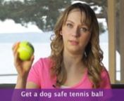 For more information about this video or other topics please visit http://bit.ly/2d6wtjrnToys allow you to bond with your dog by participating in play. There are many different types of active toys like fetch toys and tug toys. Look for toys that are sturdy and can withstand a lot of mouthing, chewing and tugging on. Be aware that tennis balls are great for fetch but can do a lot of damage to your dog’s teeth if the dog chews on it. Plus, the fabric is not meant to be consumed when the ball is