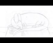 This is my second traditional hand-drawn animated short film and my first video made in the widescreen aspect ratio of 2.35:1. It was also my second project for my Animation Basics class at Henry Ford Community College.nIt&#39;s also my first animated project with sound effects!nnThis surreal story is about a pet gecko with a nervous disposition named Stewart (named after James Stewart, known for roles like this) who finds a portal in his tank, becomes transported into an alternate dimension full of