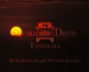A two week self drive safari through Tanzania with Safari Drive – The specialist tour operator for tailor-made, self drive safaris in Africa, Oman &amp; South America.nnThis video is a collaboration between safari tour operator Safari Drive, Time-lapse photographer Rufus Blackwell and Alex Walkers safari camps in Tanzania. The film follows a 2 week self drive safari through some of the greatest parks in Tanzania including Lake Manyara national park, the Ngorongoro Conservation Area and the Ser