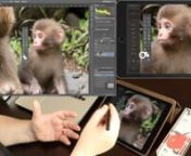 In this video we take a look at an amazing new app for the iPad called Astropad Graphics Tablet, which coupled with the Adonit Jot Touch stylus, essentially turns your iPad into a powerful, professional graphics tablet. Details and links at http://mbp.ac/483