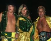 (2016) WWE Hall of Fame - The Fabulous Freebirds from the wwe