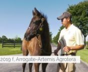 Artemis Agrotera is a multiple Grade I winning sprinter and a broodmare whose first produce was a &#36;2 million-sales-topping 2yo, has produced an Arrogate filly. We check in with the pair.