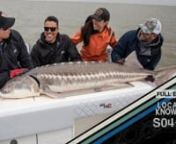 Ali and Rush head to Northern California with the new Local Knowledge SeaVee 340Z to fish for sturgeon.Teaming up with Zach Medina and Virginia Salvador of Gatecrasher Charters, the guys learn what it takes to setup the “White Sturgeon Road Block” and have a chance at catching a fish that pre-dates the dinosaurs.nnStarring:nRush Maltz @odyssea_sportfishing_kwnAli Hussainy @bdoalinnProduced by:nMichael TorbisconnMade Possible By: nnEvinrude - https://www.facebook.com/BRPEvinrude/ nAndros Bo