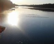 Watch a Lovely Loon Dance and Symphony at sunrise on Logan Lake, Ontario.