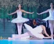 اجرای چشمگیر رقص باله «دریاچه قو» اثر چایکوفسکی در سالن اُپرایپاریس