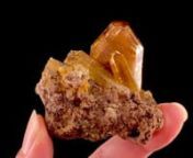 Available on Mineralauctions.com, closing on 11/5/2020.nnDon’t miss weekly fine mineral, crystal, and gem auctions on mineralauctions.com. Dozens of pieces go live each week, with bids starting at just &#36;10!nMineralauctions.com is brought to you by The Arkenstone, iRocks.com