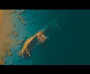 Based on library footage, a Film Campaign establishing the Saudi Tourism new program by The Ministry Of Tourism in Saudi Arabia.nأهلها# nnDirector &amp; Video Editor &#124;Alain NakhlenAgency &#124; Bold Agency nProduction House &#124; Decoupage.Film