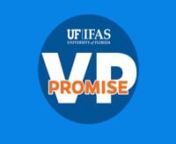 UF/IFAS Vice President Scott Angle explains his Vice President&#39;s Promise to students with the College of Agricultural and Life Sciences. Follow him on Twitter @VP_IFAS.Learn more about the VP Promise at https://bitly.com/ifas-vp-promise