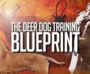 Follow Professional hunter, writer and dog trainer Paul Michaels as he trains his own deer dog all the way from picking it up as a 9-week-old pup, right through to shooting deer over it in the bush.nnThis is a step-by-step monthly course designed to help anyone train their own deer dog. From first time dog owners, through to experts who want a complete proven system to follow all the way through.nnHere is a list of just some of the things covered in this series.nnPuppy SelectionnLifestyle Traini