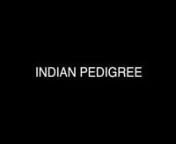 Indian Pedigree from eliaz