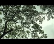 Amar Pran Dhoriya Maro Tan -- আবার তোরা সাহেব হ -- Full Theme Song - YouTube from amar pran