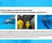Delphin-Klang-Reise ans Rote Meer in Ägypten n10.-17.Mai 2018 mit Maya Gabriel und Birgit ReimernInfo: https://www.birgitreimer.com/delphin-klang-reisenwww.gabrielkraft.ch/willkommen/reisen/nnMail: birgitreimerherzklang@gmail.comn mayagabriel@bluewin.ch