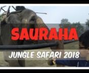 Memorable trip to Sauraha. 3 days, 2 nights, activities included: nn1st night:n- Tharu Cultural dancenn2nd day:n- Jungle Safari by Elephant ride: One-horned Rhino, Birds, Deern- Canoeing in Crocodile infested rivern- Visit to Elephant Breeding Centernn3rd day:n- Jungle walk in the morning: Bird watching, One-horned Rhino, Deer, ElephantnnPackage tour from: River View Jungle CampnnMusic credits:nStay With MenValesconLink: https://soundcloud.com/argofox/valesco-stay-with-me