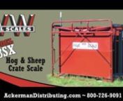 WW Paul Scales, Digital Scales, Individual Animal, &amp; Group Scales.nHog and Sheep Scales to Portable Cattle Scales.nAckerman Distributing (800)-726-9091 ~ http://ackermansonline.com/dist/wwpaulscales.htm