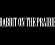Click here to watch the film with English subtitles:nhttp://vimeo.com/34806180nn- - -nnTransgression Pictures + Silent Paprika Films / 2011nn10 päivän kuvausaikataululla ja 1000 euron budjetilla yhden vuoden kuluessa tuotettu Rabbit on the Prairie on täyspitkä indie-elokuva, jonka tavoitteet ovat täysin ei-kaupalliset.nnSynopsis:nToinen aika, toinen paikka. Sulkeutunut kuriiri nimeltä Lenni elää rapistuvassa yhteiskunnassa, jota repii hajalle ahneus, välinpitämättömyys ja liiallinen