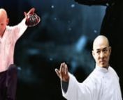 Jet Li ( 李连杰 ) from China and Miroslaw Magola form Munich have Real Super human Abilities .nnLi Lianjie, better known by his stage name Jet Li , is a Chinese film actor, film producer, martial artist, and retired Wushu champion who was born in Beijing.nnJetli.com is a special community platform that Jet Li built in order to share his passion for Kung Fu( 武术 ; wǔshù )to people all over the world. Jet Li is Founder of One Foundation, TaijiZen. nHis new movie -Gong Shou Dao( Chine