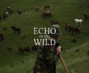 Echo of the WildnnA glimpse into the life of Nelu, a lonely horse-keeper living in the Apuseni Mountains, Transylvania, Romania.nnTeaser shot during Summer 2016 as part of a documentary project.nnDirected, Filmed &amp; Edited bynu2028Mathieu Le Layu2028nhttp://www.mathieulelay.com u2028nfacebook.com/mathieulelayfilmmakernu2028instagram.com/mathieulelaynnAssisted &amp; Translated bynLarisa OlteannnLicensed Music bynJustin Marshall - Its Been A Whileu2028nJP - Sandy SunrisennAudio Mixed by u2028