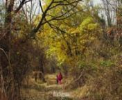 Different shades of Autumn in Jammu & Kashmir. We bet you've never see Autumn like this! from jammu
