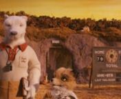 Please read the Companion Essay below for the full analysis of the film.nnIn the film Fantastic Mr. Fox an underlying message is presented throughout the story. That message is, you cannot deny your true nature. Many examples in this film subtly touch on this statement. The clearer meaning behind it is, that no matter what the urges and instincts of an animal will not be covered by trying to hide them.nntThe first scene is showing, a force, trying to separate true nature from the protagonist Mr.