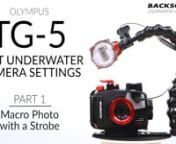 In this video series we are breaking down the best settings for underwater photography with the Olympus Tough TG-5. This is part 1, where we cover macro photography when using a strobe.nnARTICLE: https://www.backscatter.com/reviews/post/Olympus-TG-5-Best-Underwater-Camera-SettingsnKEYWORDS: Olympus TG-5, Olympus PT-058 Housing, Inon S2000, Sea &amp; Sea YS-03, Sea &amp; Sea YS-01, Sea &amp; Sea YS-D2