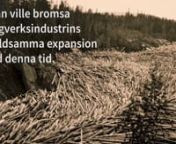 40% av Jokkmokks Allmännings skogar har legat låsta i mer än tio års tid utan ekonomisk ersättning. En lång tradition av värnande om skog och miljö riskerar att försvinna