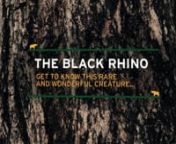 Would you like to become better acquainted with the black rhino? This parralax that the team at twogether created for Save the Rhino International will help you get to know the hook-lipped rhinoceros, or Diceros Bicornis as its otherwise known.