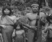 Después de la destrucción del Centro Shuar Nankints en la Provincia de Morona Santiago en noviembre del 2016, la declaratoria de Estado de Excepción y la militarización de la Amazonía por parte del Estado ecuatoriano desde diciembre del 2016, el video retrasa una parte de la historia de colonización interna de la Amazonía, iniciada por el Estado desde los años 60. En el momento actual, a diferencia de los años anteriores, los territorios disputados han sidoilegalmente entregados en co
