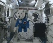 First dog in Space nnif you wanna enjoy more video and more entertainment then follow us:nnFacebook Page: https://www.facebook.com/TheFlashtvseriess/nwebsite link: http://flashtvseries.com/the-flash-season-1-episode-16/