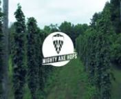 Mighty Axe Hop Pick 2016 from pick axe