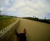 We mounted the GoPro Helmet HERO Wide on a jockey to test the video stability on a horse running at race pace speeds. We reckon it looks pretty good!