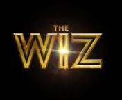 The WIZ - Logo Animation from wiz
