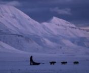 Một câu chuyện về hành trình đầy chất sử thi của một mẹ gấu Bắc Cực và các con trong bối cảnh băng đang tan dần dưới chân chúng. Một câu chuyện về cuộc gặp rất đời thường và đầy cảm động giữa Frost, một gấu mẹ tuyệt đẹp, và Asgeir Helgestad, nhà làm phim về thế giới hoang dã người Na Uy. Câu chuyện trải dài trong 5 năm, kể từ lần “chạm trán” đầu tiên năm 2013 giữa hai nhân