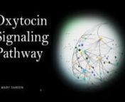 Oxytocin Signaling Pathway.mov from oxytocin signaling pathway