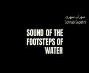 Poetry Film // Tribute to Persian Soul // Sohrab Sepehri from