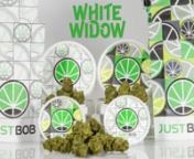 JustBob presents the 2022 collection as regards the Packaging to keep the freshness and quality of the products always at their best. White Widow one of the genetics created in the early 90s. She immediately managed to win the hearts of fans and beyond; winning first prize in the Bio section of the High Times Cannabis Cup in 1995.nnDiscover it on the shop: https://www.justbob.shop/product/white-widow/nnThe OverviewnnThe dud are medium / small in size and are of a strong green color. During the f