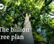 New forests for greater climate protection DW Documentary from documentary dw