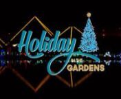 Holiday Webpage Banner Video - 2022.mp4 from mp4 video