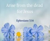 3 Ways to Motivate Yourself Everyday from Ephesians 5:14-17nnBiblical Power Tool #46 - Arise from the dead for Jesusnn“Awake, you who sleep,nArise from the dead,nAnd Christ will give you light.”nEphesians 5:14nnYesterday is deadness of yesterday and live today. You will feel awake and when you go back to sleep you will know that feeling too.nnChrist will give you the light to find your way out of that void left behind by your kids, your late in life divorce or widowhood, retirement or anythi