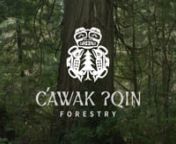 C̕awak ʔqin (pronounced sa-wa-kin) Forestry, which means ‘we are one’ in the Nuu-chah-nulth language unveiled its new logo and brand that symbolizes the shared vision and values between Huu-ay-aht First Nations (Huu-ay-aht) and Western Forest Products Inc. (Western) in Tree Farm Licence 44 (TFL 44) on Vancouver Island.