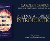 Please note: Videos 42-45 must not be practiced during pregnancy. nnBreath of Fire is not suitable for pregnancy. And the videos named above are strictly for the postnatal period and beyond. nnLearn more about the breaths in my book: nnhttps://amzn.eu/d/9fPpfw1 nnPlease note that by taking part in this series, you agree to my terms and conditions and have noted the medical disclaimer, which is copied below.nnI very much hope that you find the book, and these videos, a source of comfort and sup