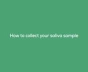 Everlywell - Saliva Collection Instructions from instructions