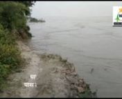 बहराइच घाघरा नदी से सटे साइफन के पास तेज कटान कर रही घाघरा नदी# n m news from घाघरा
