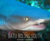 You are about to go on a fascinating journey through the amazing underwater world of Batu Bolong. As you watch this remarkable documentary, you will discover the wonderful beauty and diversity of life below the waves. Located within Indonesia&#39;s Komodo National Park, Batu Bolong&#39;s exposed rock pinnacle reveals a hidden paradise full of marine wonders. Despite challenges like changing currents and depths, you will learn how expert divers navigate the currents and explore different depths, from sha