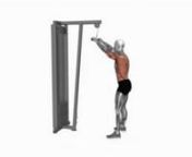 cable-straight-arm-pulldown-fitness-exercise-worko-2023-02-26-13-18-58-utc from worko