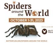 Just in time for Halloween, spiders are arriving from around the globe this October for a limited-time engagement, Spiders Around the World, exclusively at Butterfly Pavilion. Engage with stunning, vibrant, and awe-inspiring tarantulas and walk amongst visually striking, exquisite, and free-roaming Orb Weavers spinning their intricate webs in Spider Zone!